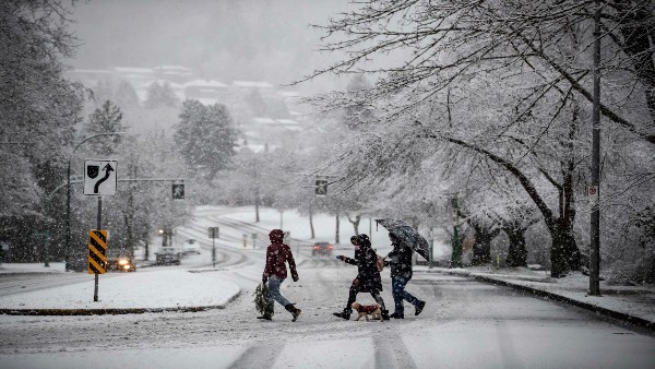 Canada-US border: Family of four, believed to be Indians, freeze to death; authorities probe smuggling angle Canada-US border: Family of four, believed to be Indians, freeze to death; authorities probe smuggling angle