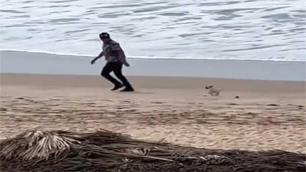 WATCH: Man plays with puppy on the beach, video will make you smile WATCH: Man plays with puppy on the beach, video will make you smile