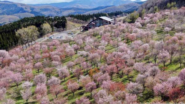 Taiwan ends Fukushima food import ban after 11 years Taiwan ends Fukushima food import ban after 11 years