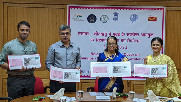 Mumbai’s winter visitors: Special postal cover on Flamingos released Mumbai’s winter visitors: Special postal cover on Flamingos released