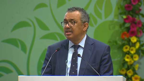 WHO chief bats for investments to support innovation in traditional medicine WHO chief bats for investments to support innovation in traditional medicine