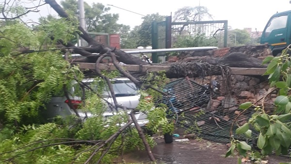 Delhi rain: Two dead, trees uprooted, buildings damaged as heavy rains, winds batter national capital Delhi rain: Two dead, trees uprooted, buildings damaged as heavy rains, winds batter national capital
