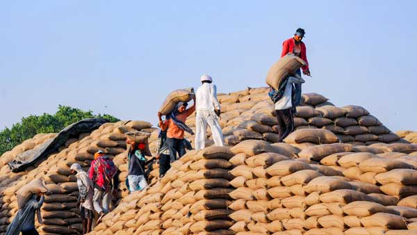 The ban on re-export of Indian wheat and how it will benefit Indian migrants too The ban on re-export of Indian wheat and how it will benefit Indian migrants too