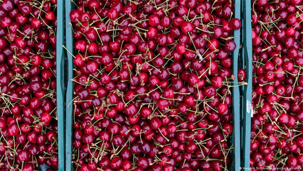 Whats stopping the switch to a climate-friendly diet? Whats stopping the switch to a climate-friendly diet?