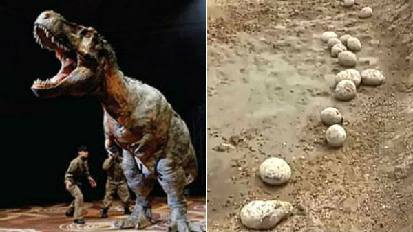 Abnormal titanosaurid dinosaur egg found by DU researchers in MP Abnormal titanosaurid dinosaur egg found by DU researchers in MP