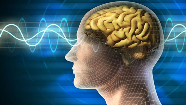 Explained: How IISC researchers are Using GPUs to discover human brain activity Explained: How IISC researchers are Using GPUs to discover human brain activity