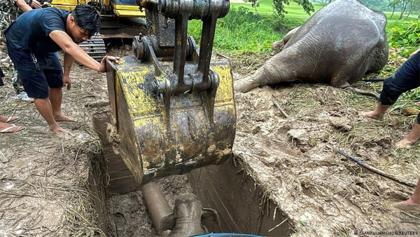 Thailand: Elephant mom and baby saved in dramatic rescue Thailand: Elephant mom and baby saved in dramatic rescue
