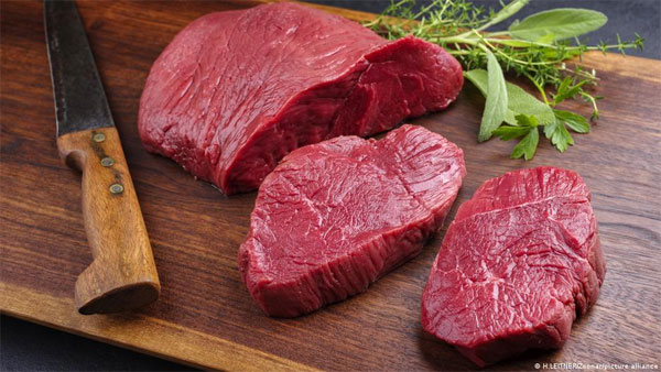France bans veggie steaks, sausages France bans veggie steaks, sausages