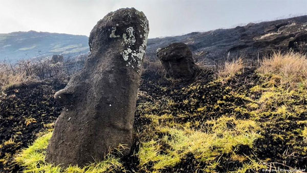 Easter Island wildfire chars famous moai statues Easter Island wildfire chars famous moai statues