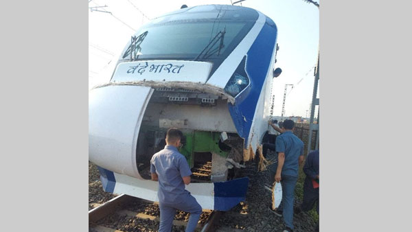 Vande Bharat Express rams into cattle near Atul station in Gujarat, third incident this month Vande Bharat Express rams into cattle near Atul station in Gujarat, third incident this month