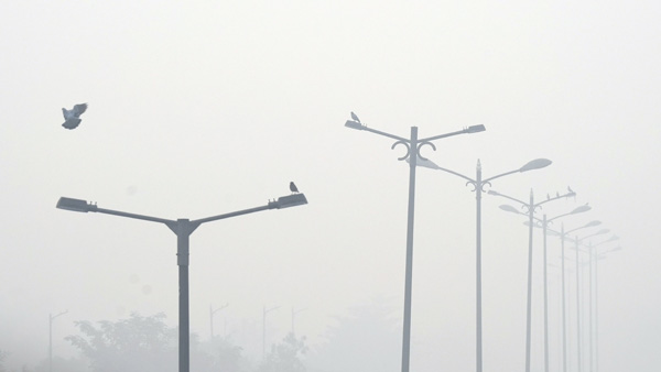 Delhi NCR breathe in severe air; Worse days ahead Delhi NCR breathe in severe air; Worse days ahead