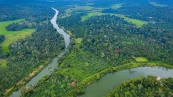 List of ‘Benefits from the Cauvery South Wildlife Sanctuary’ List of ‘Benefits from the Cauvery South Wildlife Sanctuary’