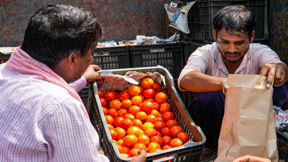 Don't Eat Tomatoes, Grow Them At Home Uttar Pradesh Minister's Advise