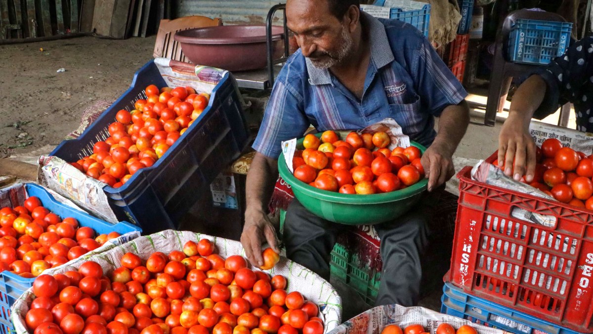 Tomato Price Touches Rs 250 Per KG In Uttarakhand; Check Prices In Your