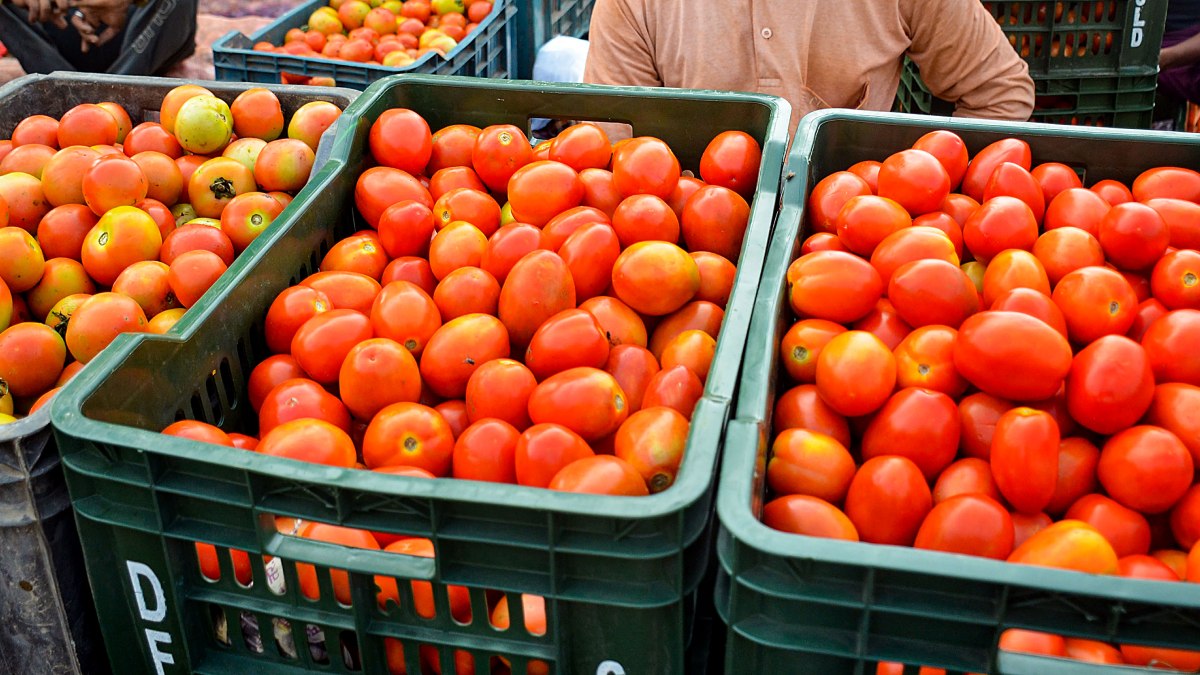 Retail Tomato Prices In South Soar To Rs 120 Per Kg Due To, 46 OFF