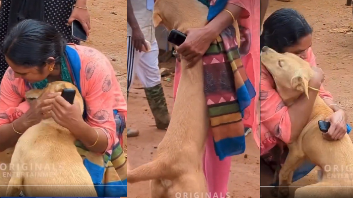 Hope Amidst Tragedy: Viral Video Shows Dog’s Joyful Reunion With Owner 6 Days After Landslide In Wayanad