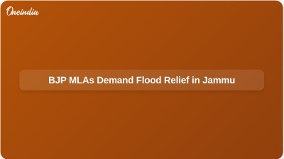 BJP MLAs Demand Flood Relief in Jammu