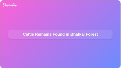 Cattle Remains Found in Bhatkal Forest