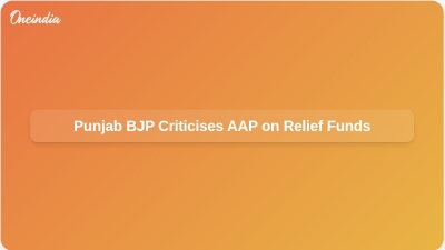 Punjab BJP Criticises AAP on Relief Funds