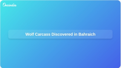 Wolf Carcass Discovered in Bahraich