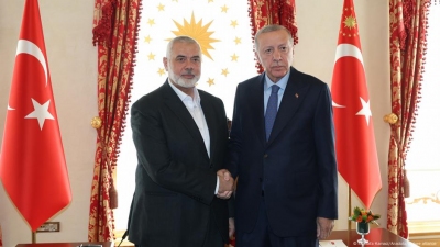 What Is Turkey's Role In The Gaza Peace