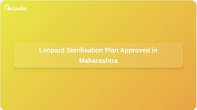 Leopard Sterilisation Plan Approved in Maharashtra