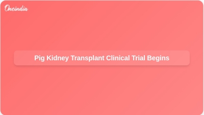 Pig Kidney Transplant Clinical Trial Begins