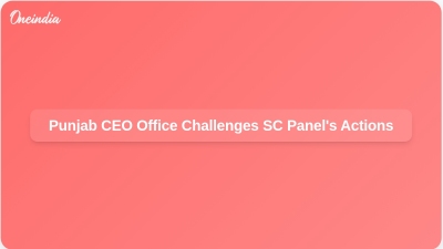 Punjab CEO Office Challenges SC Panel's Actions
