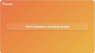 Delhi Bawana shooting probe