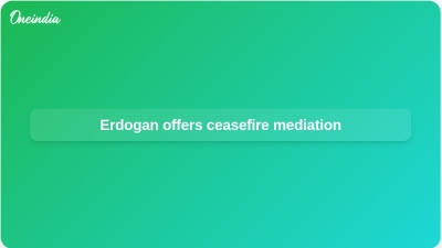 Erdogan offers ceasefire mediation
