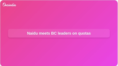 Naidu meets BC leaders on quotas