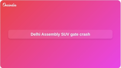 Delhi Assembly SUV gate crash
