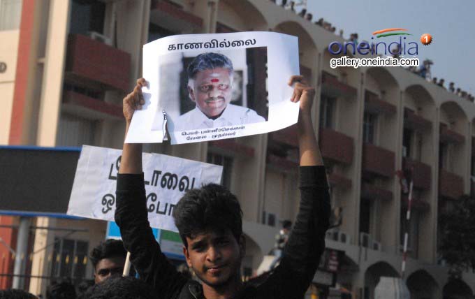 Massive Protests In Support Of Jallikattu At Marina Beach Massive Protests In Support Of Jallikattu At Marina Beach