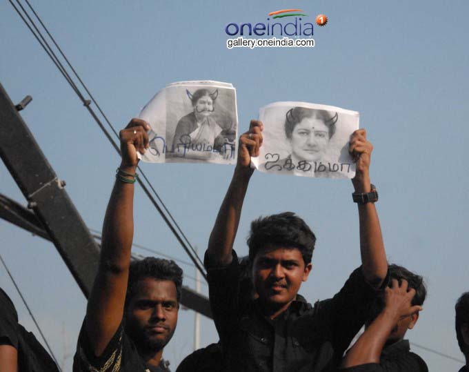 Massive Protests In Support Of Jallikattu At Marina Beach Massive Protests In Support Of Jallikattu At Marina Beach