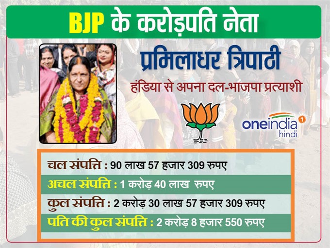 इलाहाबाद से भाजपा ने उतारे करोड़पति प्रत्याशी इलाहाबाद से भाजपा ने उतारे करोड़पति प्रत्याशी