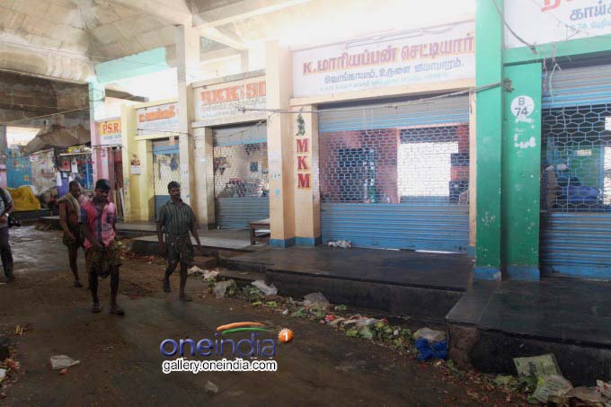 Photo Gallery: Tamil Nadu Bandh 2017 Photo Gallery: Tamil Nadu Bandh 2017