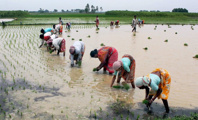 Life In India During Monsoon Rainfall Life In India During Monsoon Rainfall