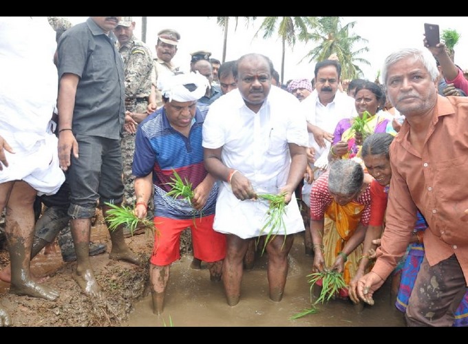 Kumaraswamy Plant Rice Paddy Today In Mandya District Sitapur Kumaraswamy Plant Rice Paddy Today In Mandya District Sitapur