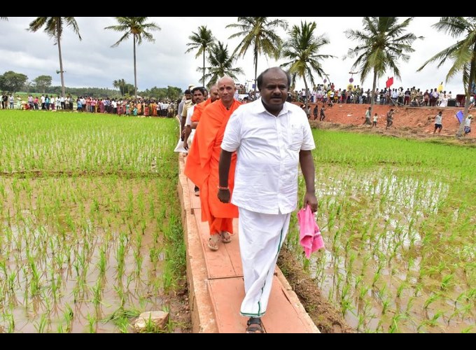 Kumaraswamy Plant Rice Paddy Today In Mandya District Sitapur Kumaraswamy Plant Rice Paddy Today In Mandya District Sitapur