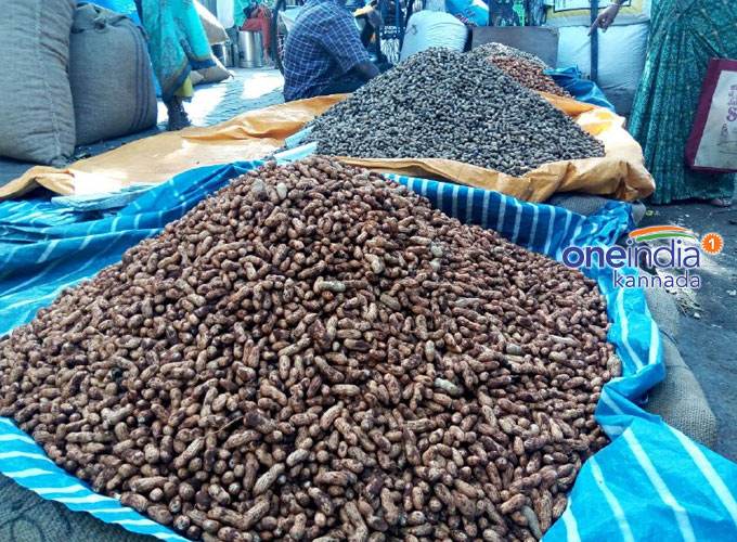 Basavanagudi Kadalekai Parishe 2018 Basavanagudi Kadalekai Parishe 2018