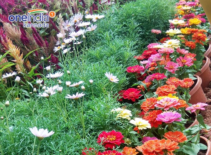 Lalbagh Republic Day Flower Show 2019 Lalbagh Republic Day Flower Show 2019