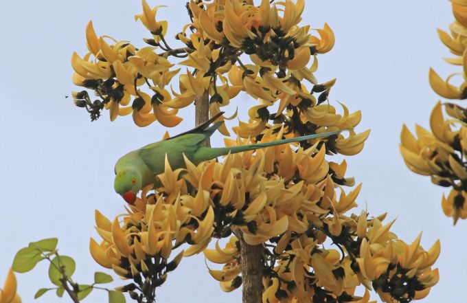 News In Photos (13 March 2019) | Photos Of Top News Today - Oneindia Gallery News In Photos (13 March 2019) | Photos Of Top News Today - Oneindia Gallery