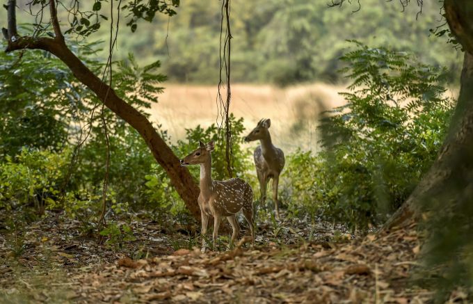 News In Photos (7 March 2019) | Photos Of Top News Today - Oneindia Gallery News In Photos (7 March 2019) | Photos Of Top News Today - Oneindia Gallery