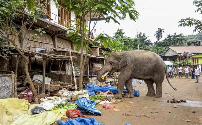 News In Photos (21 May 2019) | Photos Of Top News Today - Oneindia Gallery News In Photos (21 May 2019) | Photos Of Top News Today - Oneindia Gallery