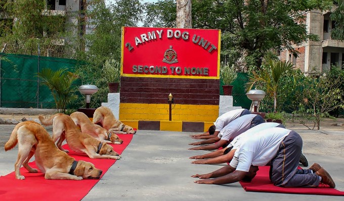 5th International Yoga Day 2019 5th International Yoga Day 2019