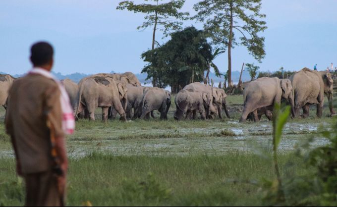 News In Photos (3 August 2019) | Photos Of Top News Today - Oneindia Gallery News In Photos (3 August 2019) | Photos Of Top News Today - Oneindia Gallery