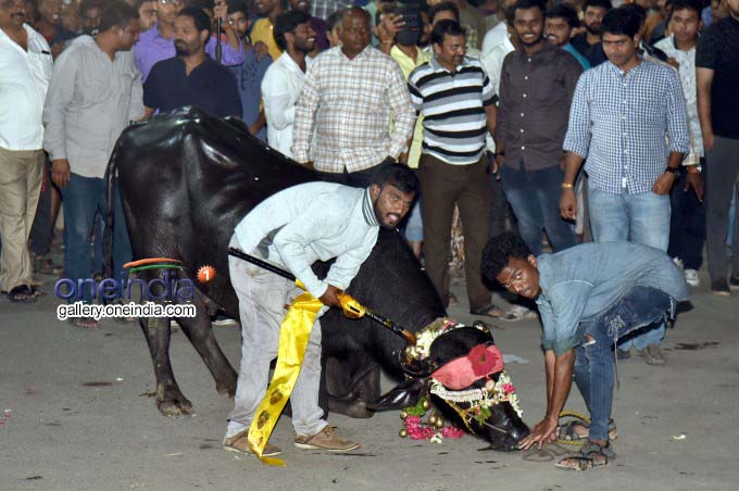 2019 Sadar Festival In Hyderabad 2019 Sadar Festival In Hyderabad