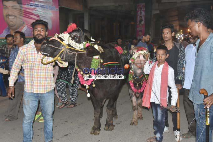 2019 Sadar Festival In Hyderabad 2019 Sadar Festival In Hyderabad