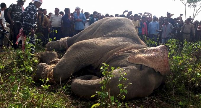 News In Photos (11 November 2019) | Photos Of Top News Today - Oneindia Gallery News In Photos (11 November 2019) | Photos Of Top News Today - Oneindia Gallery