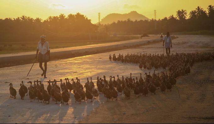 News In Photos (17 November 2019) | Photos Of Top News Today - Oneindia Gallery News In Photos (17 November 2019) | Photos Of Top News Today - Oneindia Gallery